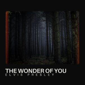 The Wonder Of You