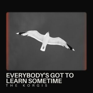 Everybody's Got to Learn Sometime
