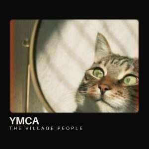 YMCA