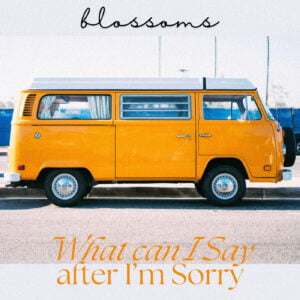 What Can I Say After I'm Sorry