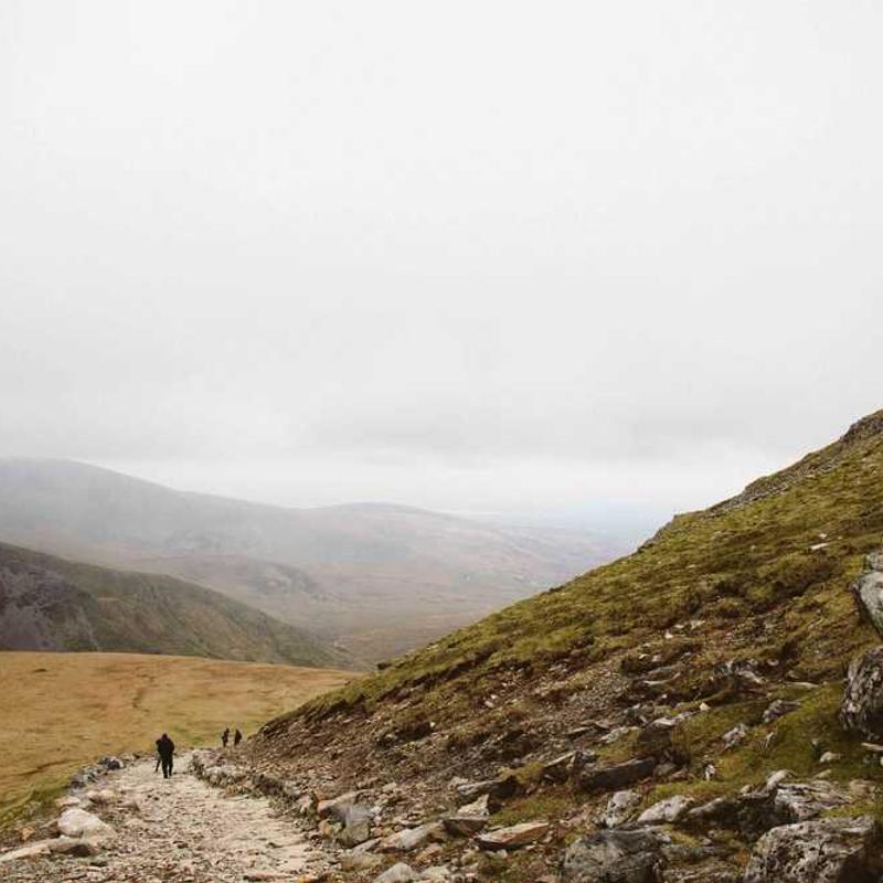 Toyah - It’s A Mystery