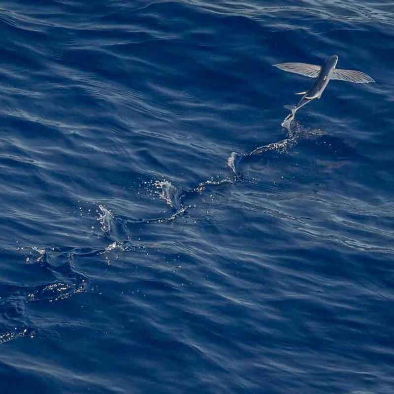 Fairground Attraction - Find My Love